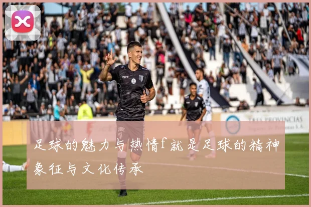 足球的魅力与热情f就是足球的精神象征与文化传承