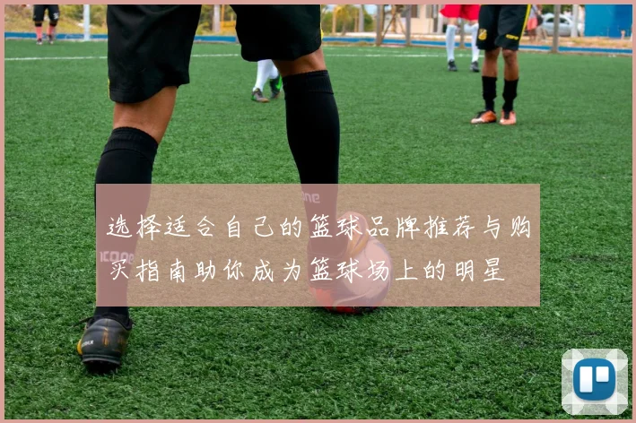 选择适合自己的篮球品牌推荐与购买指南助你成为篮球场上的明星