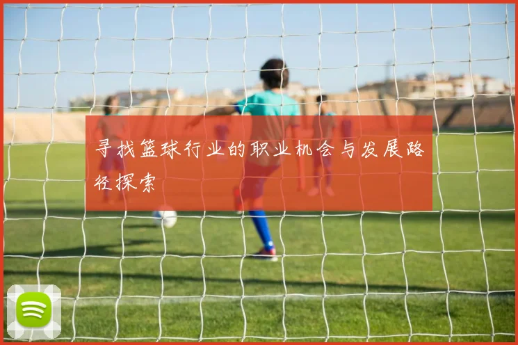 寻找篮球行业的职业机会与发展路径探索