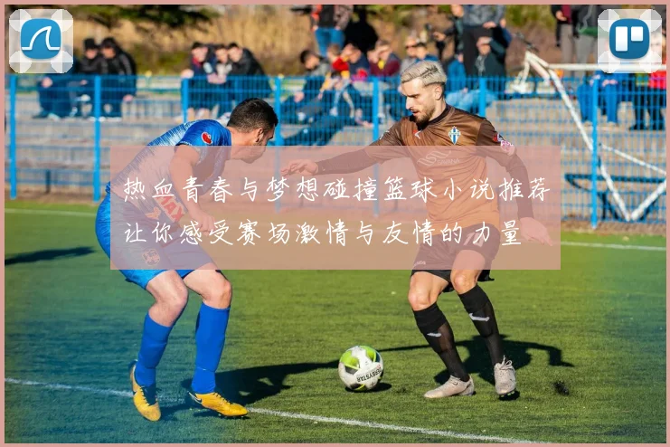 热血青春与梦想碰撞篮球小说推荐让你感受赛场激情与友情的力量