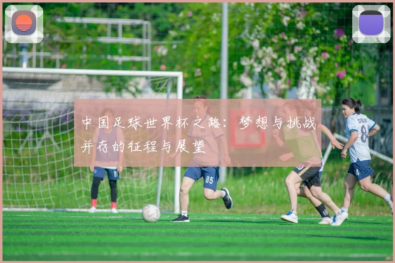 中国足球世界杯之路：梦想与挑战并存的征程与展望