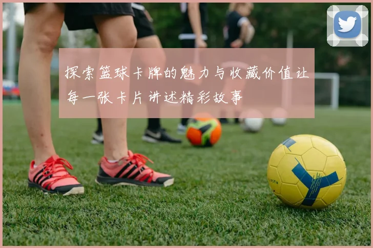 探索篮球卡牌的魅力与收藏价值让每一张卡片讲述精彩故事