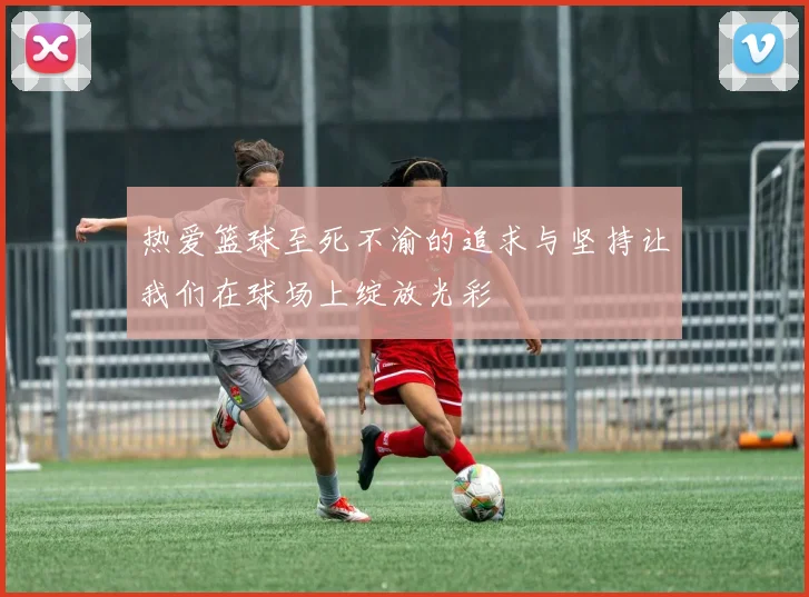 热爱篮球至死不渝的追求与坚持让我们在球场上绽放光彩