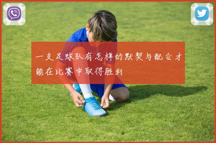 一支足球队有怎样的默契与配合才能在比赛中取得胜利