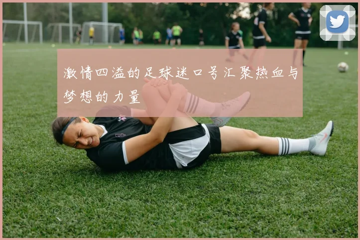 激情四溢的足球迷口号汇聚热血与梦想的力量